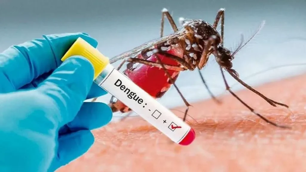 Tucumán lleva seis semanas sin casos de dengue