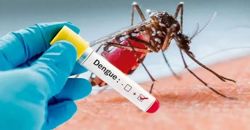 Tucumán lleva seis semanas sin casos de dengue