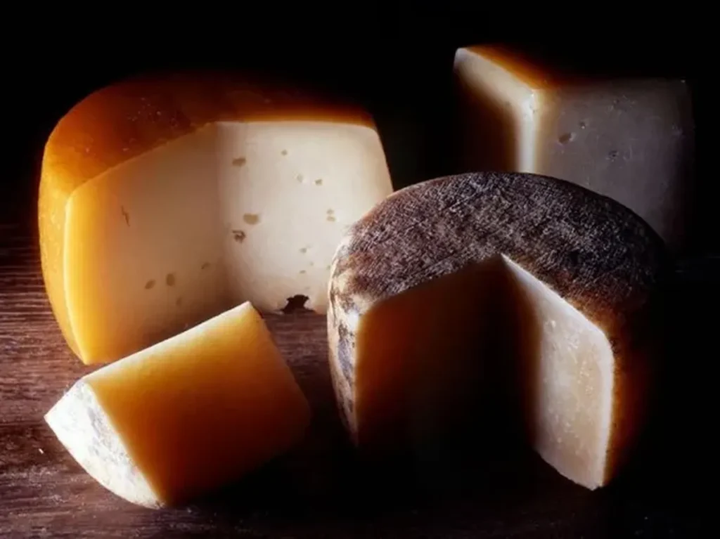 Tucumán refuerza la prevención de listeriosis tras detectar queso criollo contaminado