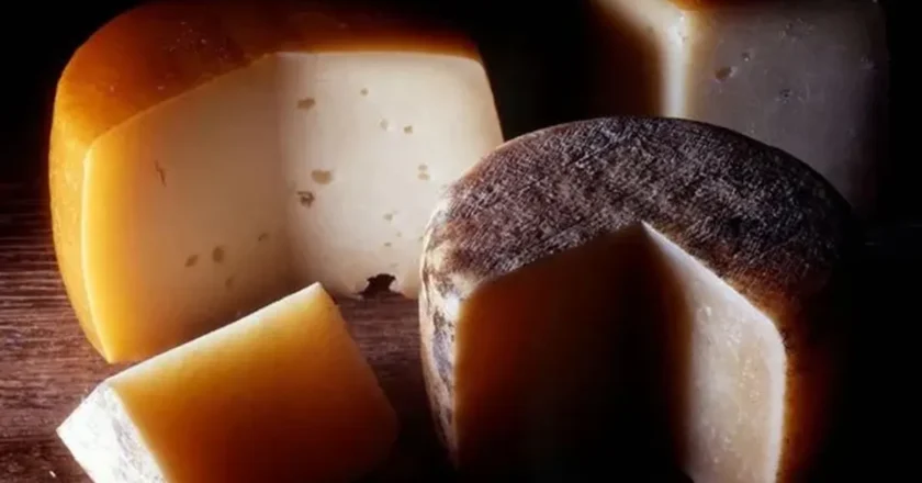 Tucumán refuerza la prevención de listeriosis tras detectar queso criollo contaminado