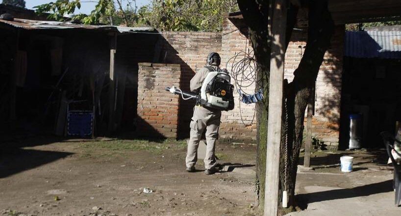 Tucumán alcanzó los 423 casos de chikungunya: el 25% están activos