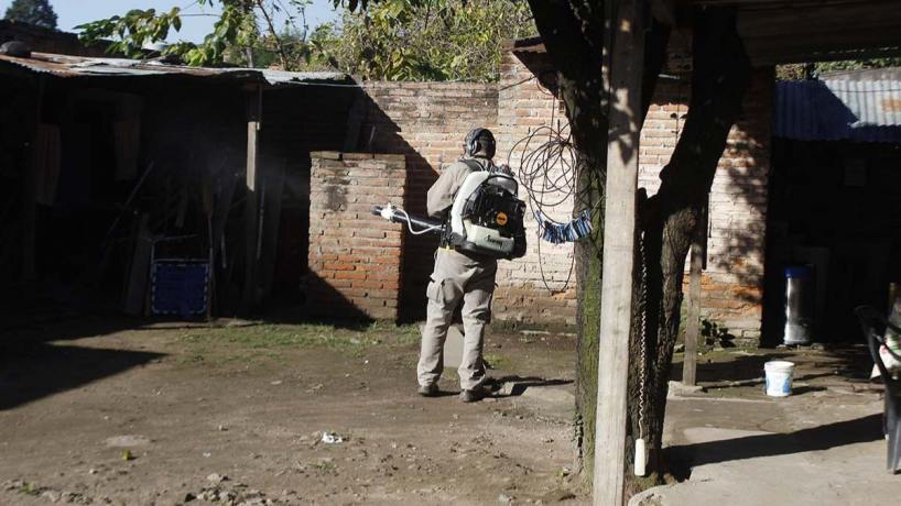 Tucumán alcanzó los 423 casos de chikungunya: el 25% están activos