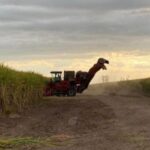 Avanza la zafra: ya se molieron más de 13 millones de toneladas de caña en Tucumán