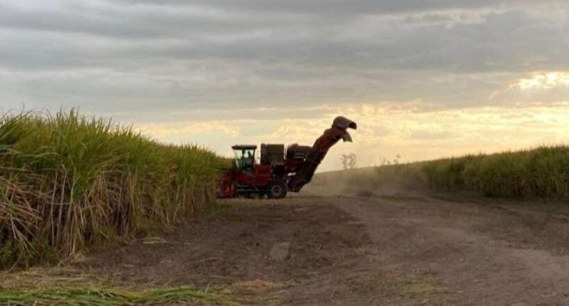 Avanza la zafra: ya se molieron más de 13 millones de toneladas de caña en Tucumán